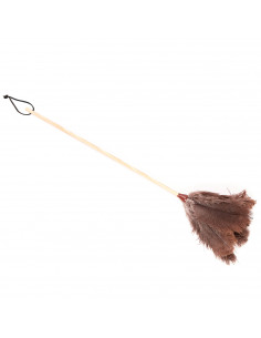 Pamex - Plumero de plumas de avestruz 64 cm, mango de madera con cordón, plumero atrapapolvo, plumas suaves, reutilizable, lavab
