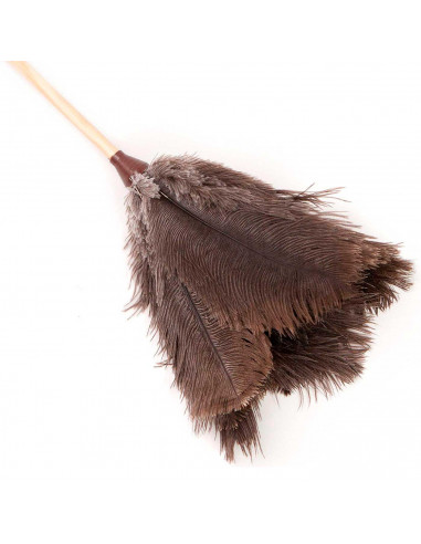 Pamex - Plumero de plumas de avestruz 64 cm, mango de madera con cordón, plumero atrapapolvo, plumas suaves, reutilizable, lavab