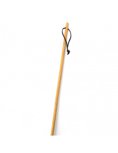 Pamex - Plumero de plumas de avestruz 64 cm, mango de madera con cordón, plumero atrapapolvo, plumas suaves, reutilizable, lavab