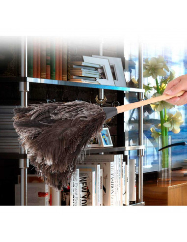 Pamex - Plumero de plumas de avestruz 64 cm, mango de madera con cordón, plumero atrapapolvo, plumas suaves, reutilizable, lavab