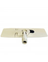 Pamex - Plataforma de mopa abrillantadora de plástico 43 x 11 cm, acople de rosca, compatible con modelos G202, S303 y G404, lim