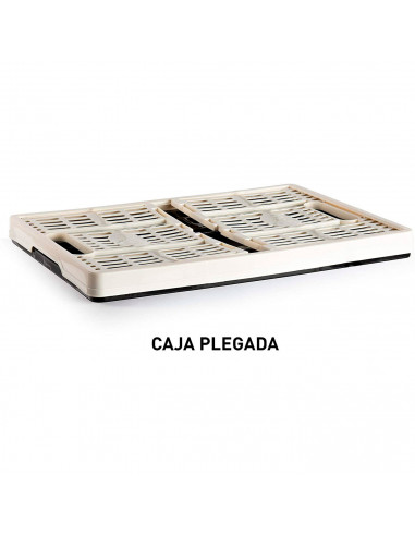 Tradineur - Caja plegable de plástico 32 litros, 22,5 x 47,2 x 34,5 cm, peso máximo 18 kg, caja, contenedor con asas para transp