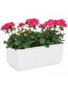 Jardinera rectangular blanca de plástico 10 x 24,7 x 13 cm, maceta, macetero, recipiente para plantas y flores, uso interior o e