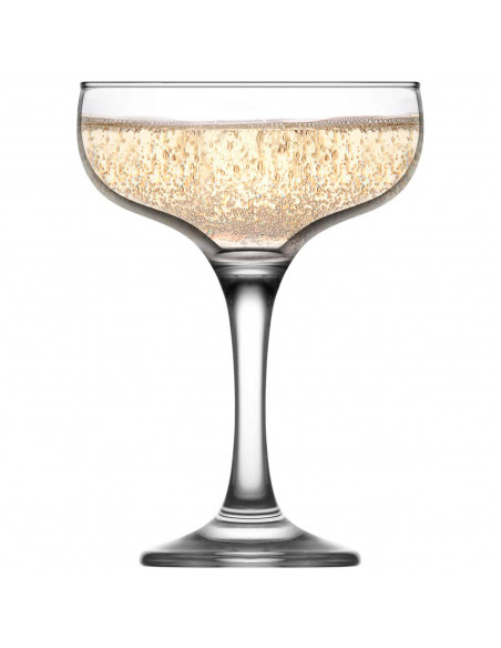 Tradineur - Set de 6 copas de champagne de cristal, 235 ml, modelo Misket, juego de copas clásicas con tallo fino 9,5 x 13,5 cm Tradineur - Set de 6 copas de champagne de cristal, 235 ml, modelo Misket, juego de copas clásicas con tallo fino 9,5 x 13,5 cm