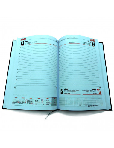 Tradineur - Agenda anual 2024, vista día página, tapa dura y cinta marcapáginas, planificador diario de tareas, citas (Negro, 21