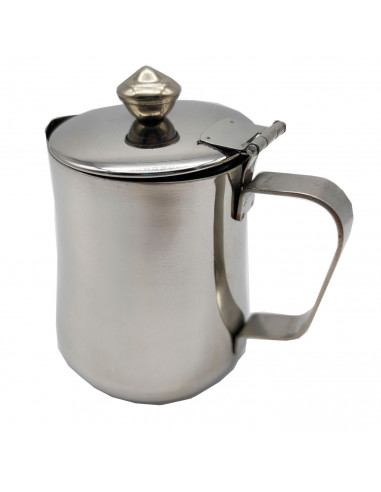 Tradineur - Tetera de acero inoxidable, con asa y pico vertedor, capacidad 1 litrol,  jarra de leche, cafetera, bares, hogar, di