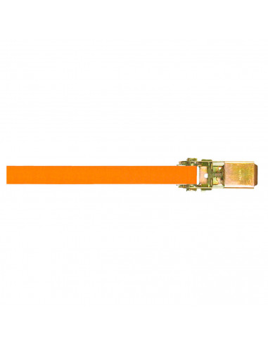 Cincha de amarre trincaje, cinta con carraca sin fin 25 mm x 6 m, tensor de carraca, correa trinquete, pulpo para baca, eslinga