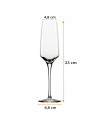 Set 6 copas de champán, cristal liso, modelo aristo, diseño sofisticado y elegante, aptas para lavavajillas (22 cl, 23 cm)