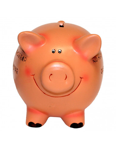 Hucha de cerdito cerámica con frase 12 x 9 x 11 cm. Caja de ahorro de dinero infantil con llave, decoración original para niños