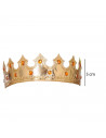 Corona de rey dorada con gemas para niños, complementos para carnaval, halloween, fiestas de cumpleaños, celebraciones. 5 x 55 x