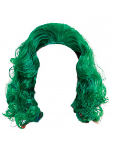 Peluca verde de payaso loco para jóvenes y adultos, complemetos de disfraces para carnaval, halloween u otras celebraciones. 29