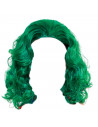 Peluca verde de payaso loco para jóvenes y adultos, complemetos de disfraces para carnaval, halloween u otras celebraciones. 29