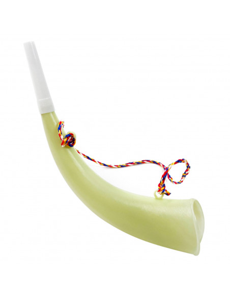 Corneta pirata de plástico con cordel, accesorio para disfraz de corsario, carnaval, halloween, fiestas, cosplay, cumpleaños, 17 Corneta pirata de plástico con cordel, accesorio para disfraz de corsario, carnaval, halloween, fiestas, cosplay, cumpleaños, 17