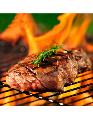Parrilla doble para barbacoa, rejilla de acero, grill portátil con patas, asado de pescado, carne, ideal para jardín, camping, a