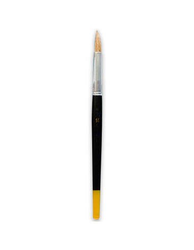 Set de 10 pinceles para los artistas, fabricado en plástico, punta de pelo natural, ideal para pintura artística, trabajos manua