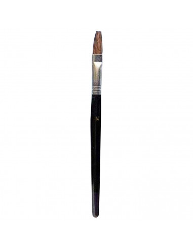 Set de 10 pinceles planos para los artistas, fabricado en plástico, punta de pelo natural, ideal para pintura artística, trabajo
