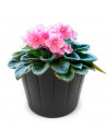 Tradineur - Maceta de plástico redonda, diseño rústico, recipiente, macetero para plantas, flores, jardín, balcón (Marrón oscuro