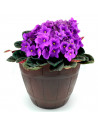 Tradineur - Maceta redonda de plástico, diseño de barril, recipiente, macetero para plantas, flores, jardín, balcón (Marrón oscu