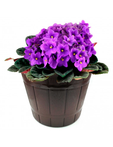 Tradineur - Maceta redonda con diseño de barril, plástico, recipiente, macetero para plantas, flores, jardín, balcón (Marrón osc