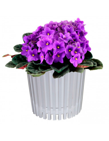 Tradineur - Maceta redonda de plástico a rayas con recipiente interior, macetero para plantas, flores, jardín, balcón, 11,7 x 12