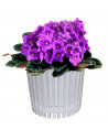 Tradineur - Maceta redonda de plástico a rayas con recipiente interior, macetero para plantas, flores, jardín, balcón, 11,7 x 12