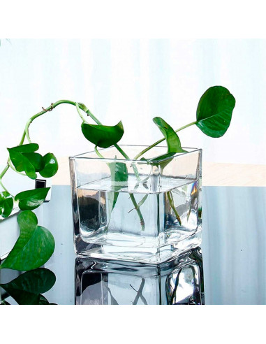 Tradineur - Jarrón cuadrado de vidrio, florero elegante y minimalista, recipiente para plantas, flores, decoración del hogar, 14